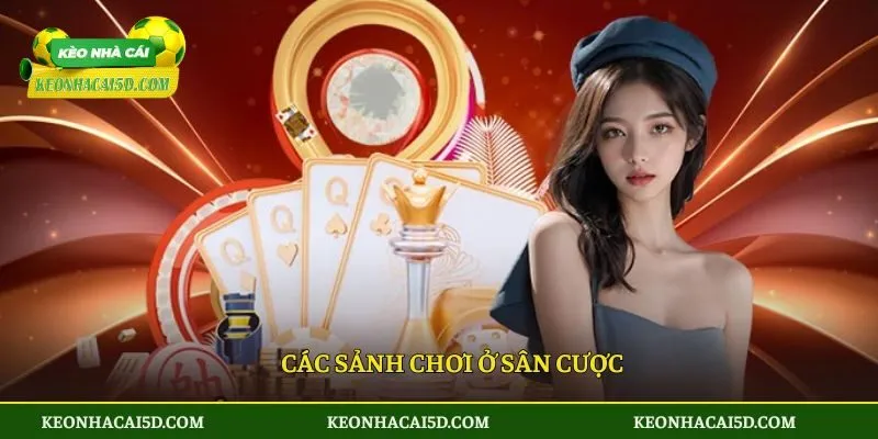 Các sảnh chơi ở sân cược