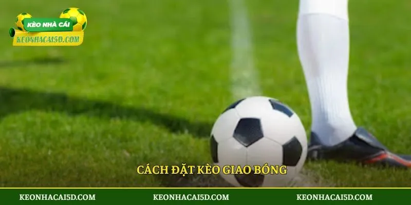Cách đặt kèo giao bóng