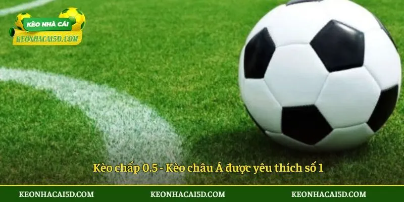 Kèo chấp 0.5 - Kèo châu Á được yêu thích số 1