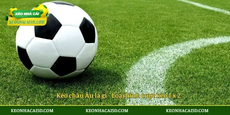 Kèo châu Âu là gì - Loại hình cược kèo 1 x 2