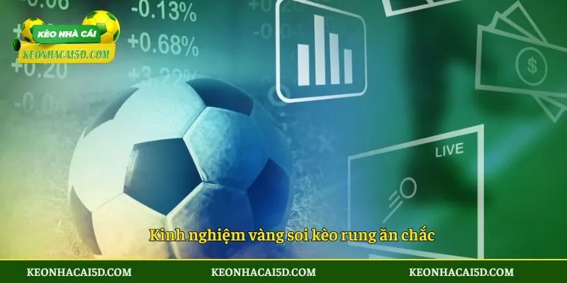 Kinh nghiệm vàng soi kèo rung ăn chắc