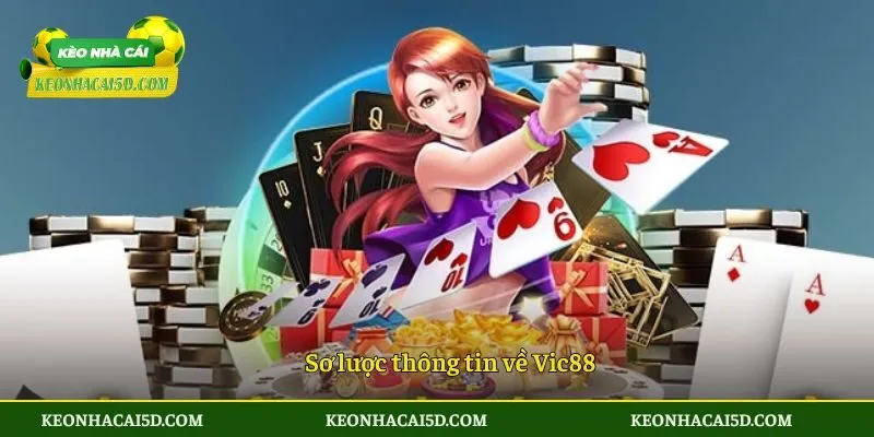 Sơ lược thông tin về Vic88