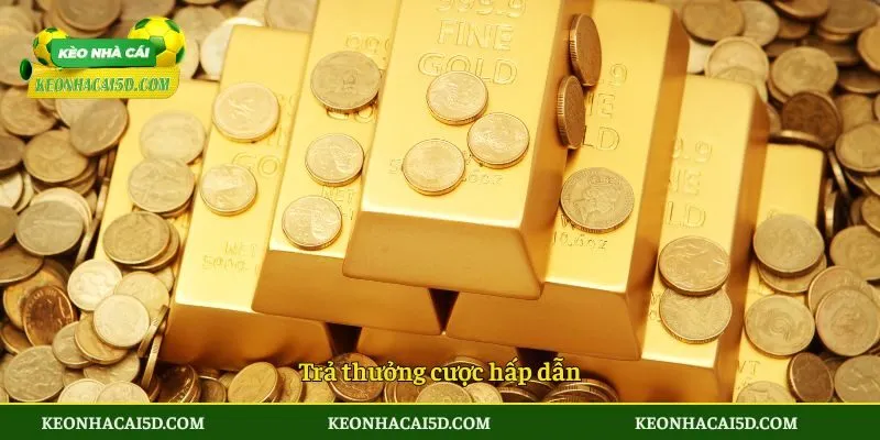 Trả thưởng cược hấp dẫn