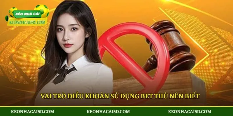 Vai trò điều khoản sử dụng bet thủ nên biết
